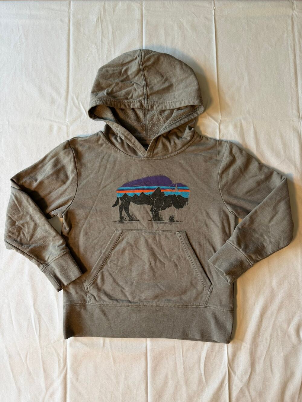 Kid's Patagonia Fitzroy Bison Hooded Sweatshirt